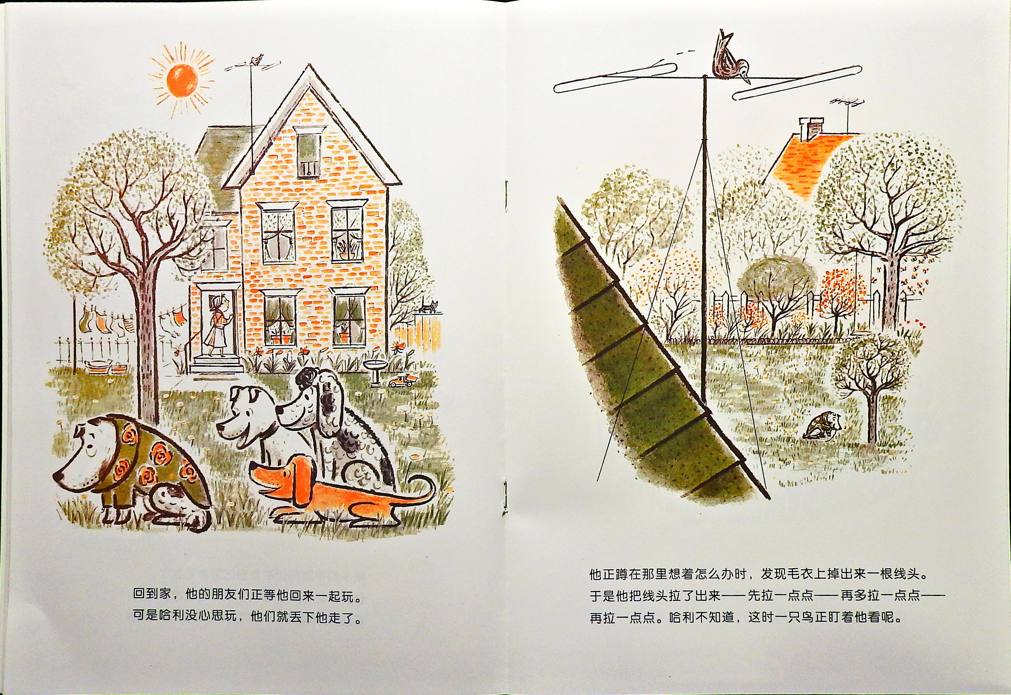 哈利的花毛衣 (10),绘本,绘本故事,绘本阅读,故事书,童书,图画书,课外阅读